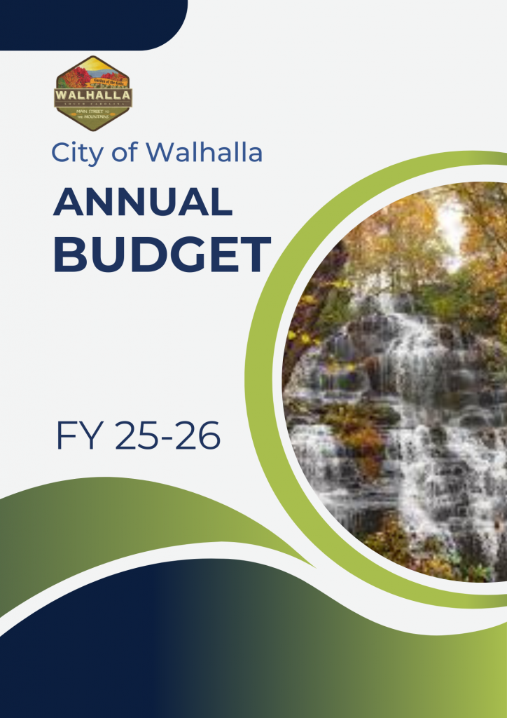 budget-cover-26
